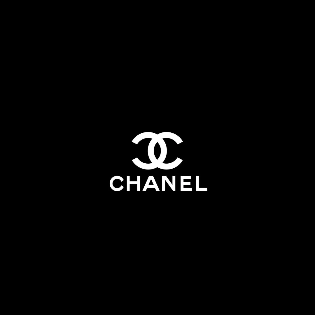 CHANEL METALLIC LAMBSKIN PVC QUILTED SMALL BOY BAG